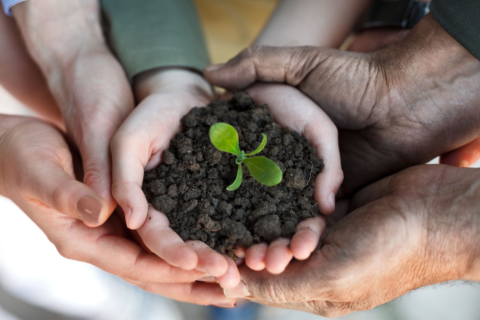 Succession Planning Hands -small